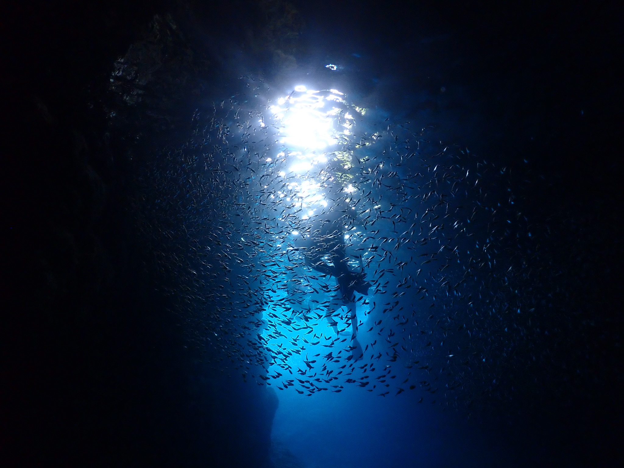 青之洞窟潛水·浮潛-沖繩藍 Okinawa Blue